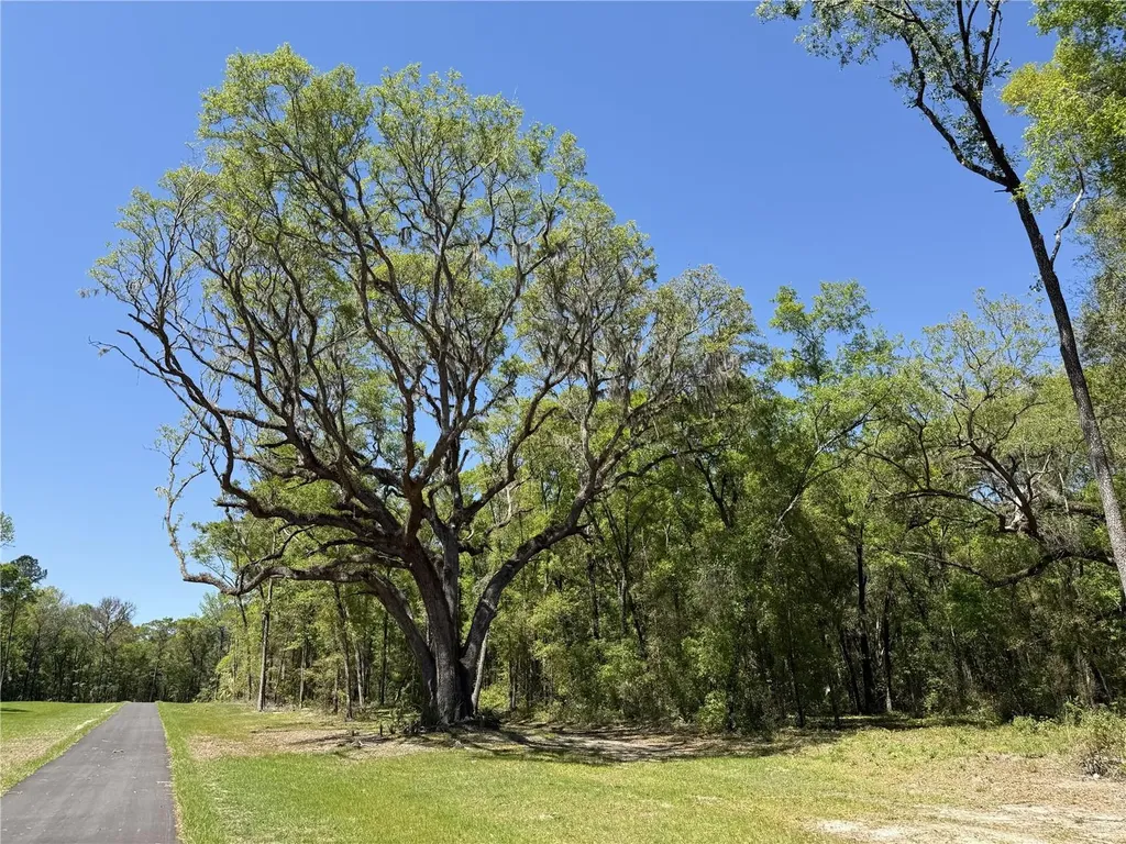 Irvine Acres #5 (13ac) W Highway 318 Reddick FL 32686
