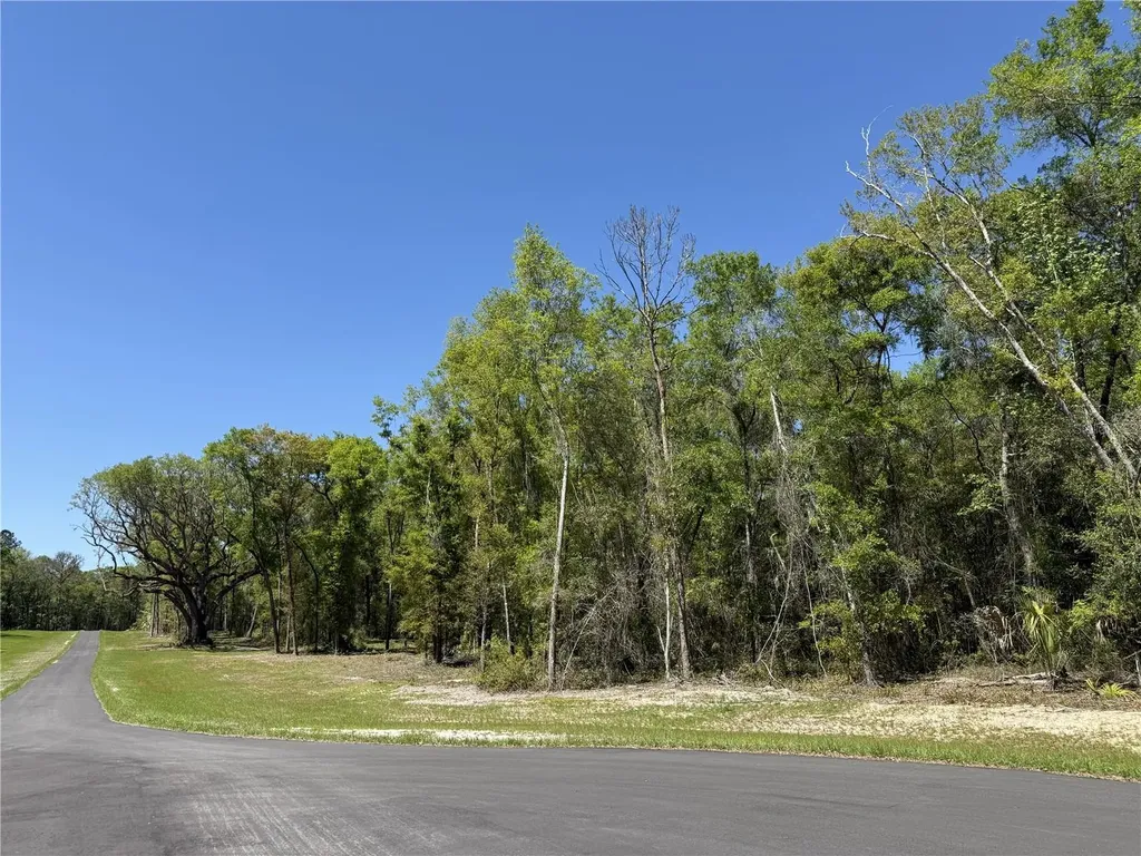 Irvine Acres #5 (13ac) W Highway 318 Reddick FL 32686