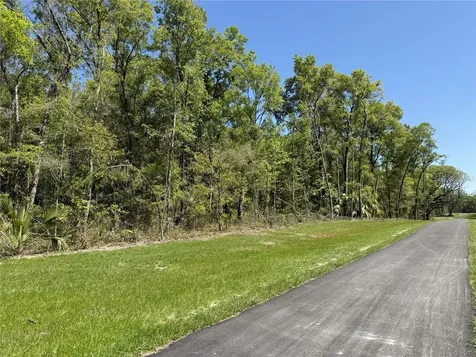 Irvine Acres #5 (13ac) W Highway 318 Reddick FL 32686