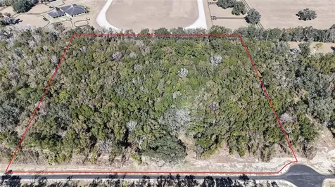 Irvine Acres #5 (13ac) W Highway 318 Reddick FL 32686