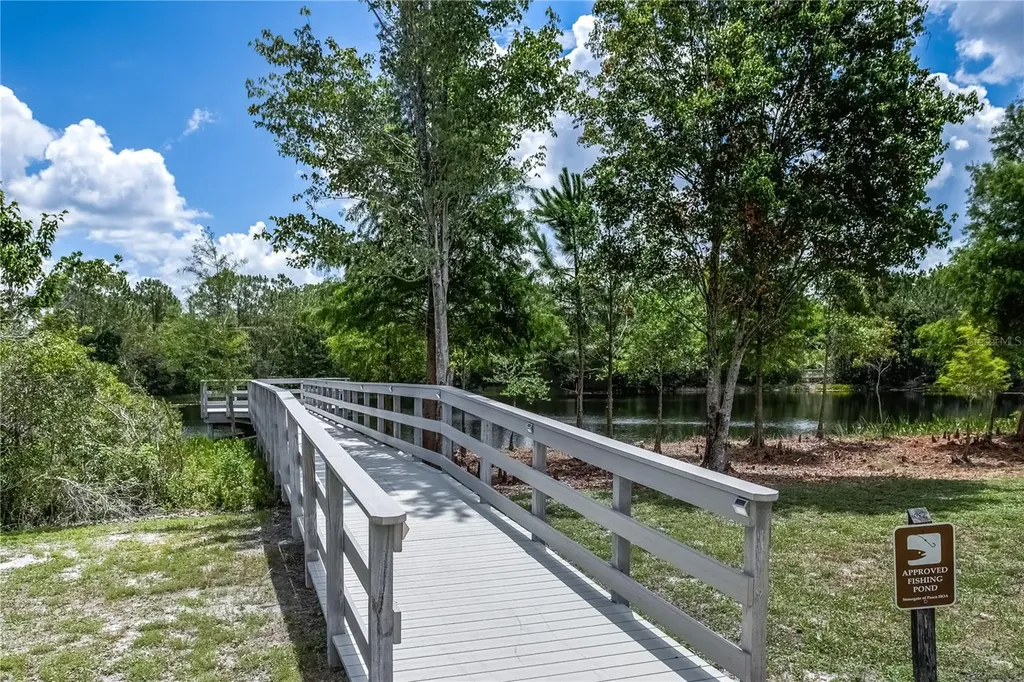 20400 Falling Rock Drive Land O Lakes FL 34638