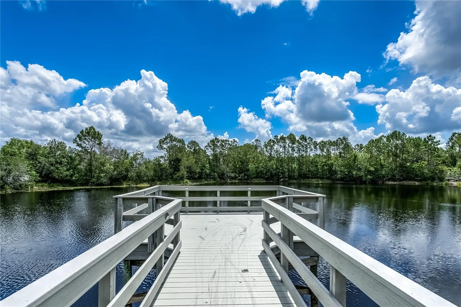 20400 Falling Rock Drive Land O Lakes FL 34638