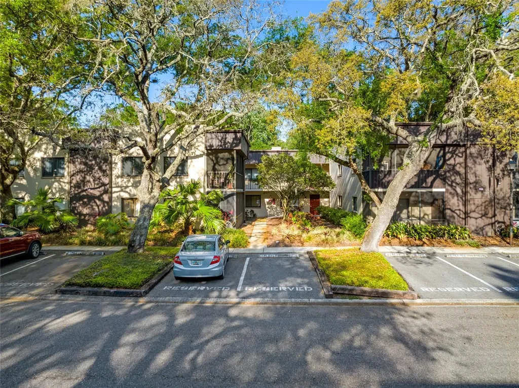 11720 Raintree Village Boulevard Temple Terrace FL 33617