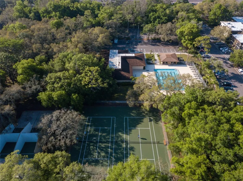 11720 Raintree Village Boulevard Temple Terrace FL 33617