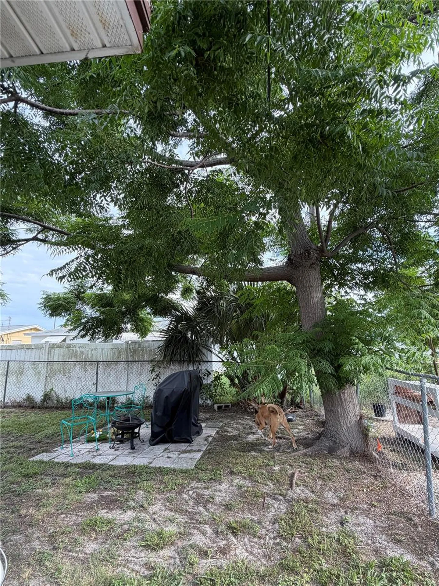 4030 Dalwood Drive Holiday FL 34691