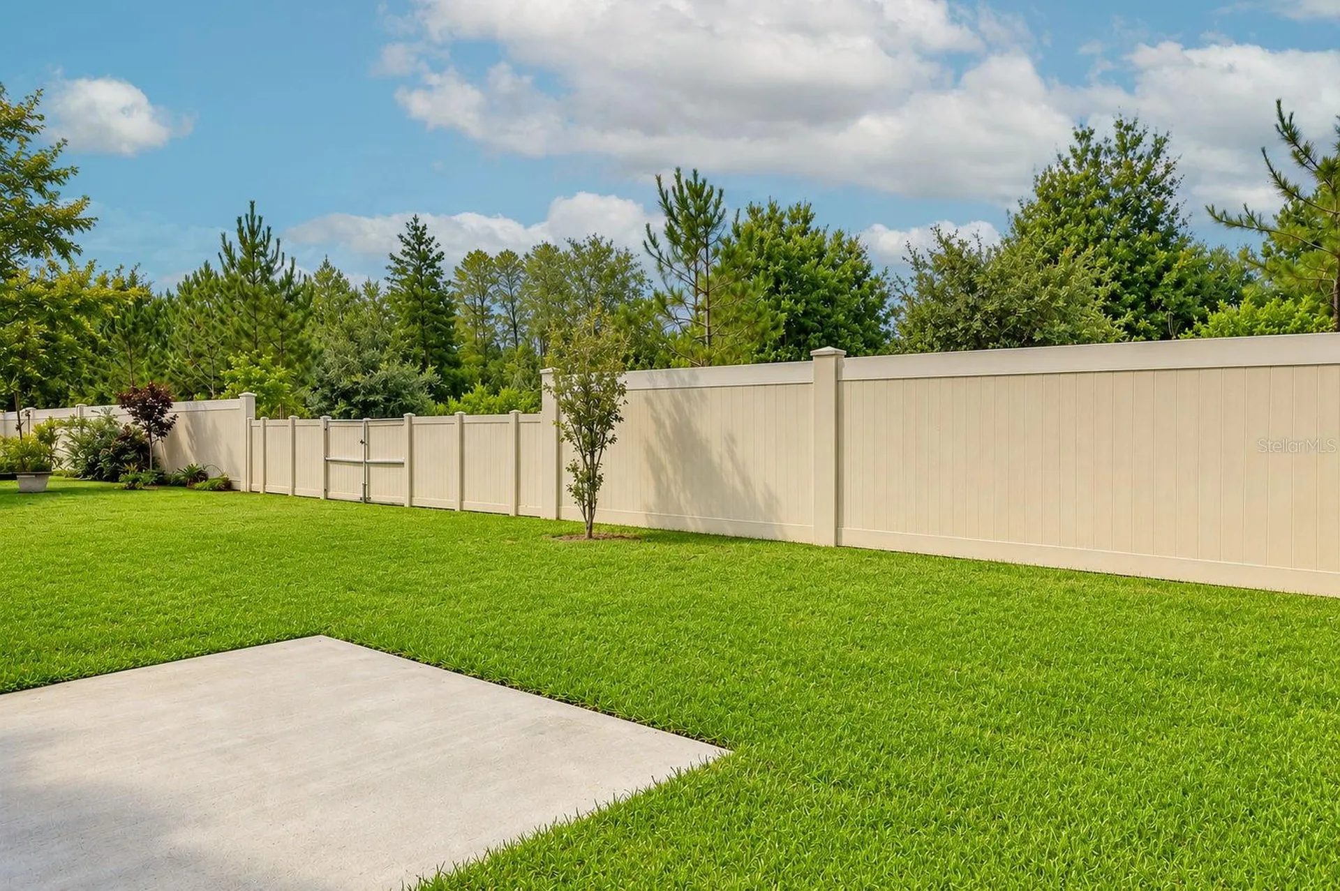 3226 Suncoast Plains Drive Odessa FL 33556
