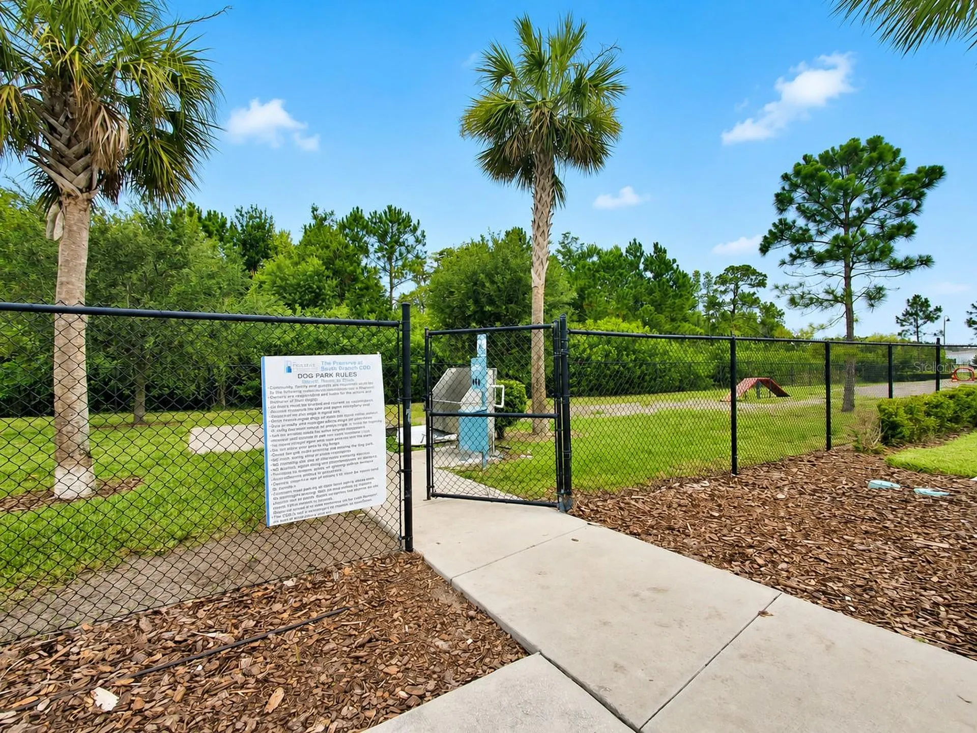 3226 Suncoast Plains Drive Odessa FL 33556