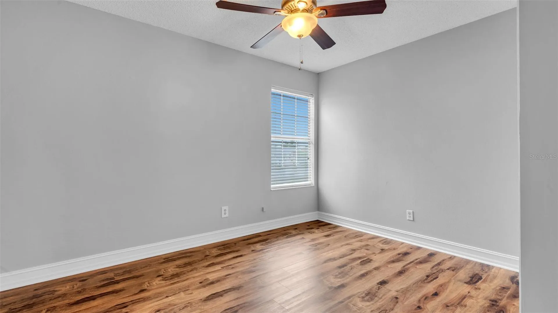 11804 Branch Mooring Drive Tampa FL 33635