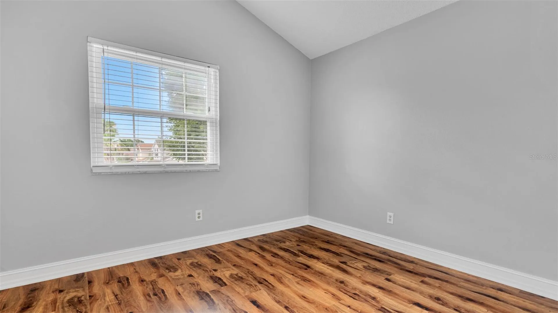 11804 Branch Mooring Drive Tampa FL 33635