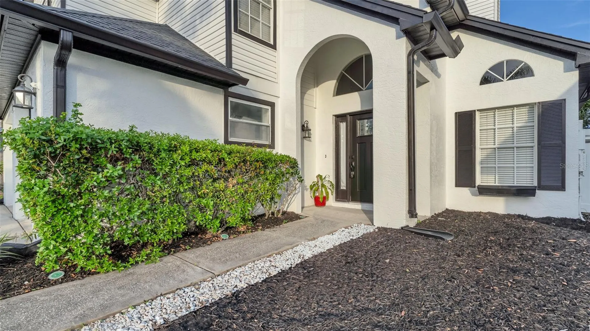 11804 Branch Mooring Drive Tampa FL 33635