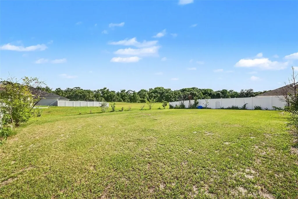503 W Leah Court Fruitland Park FL 34731