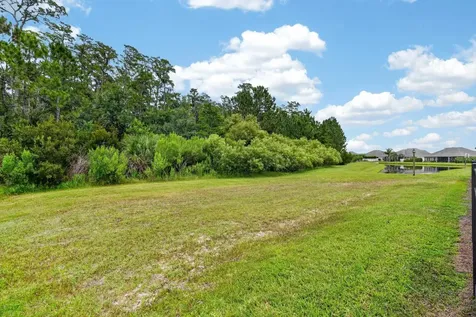 3331 Bellino Boulevard New Smyrna Beach FL 32168
