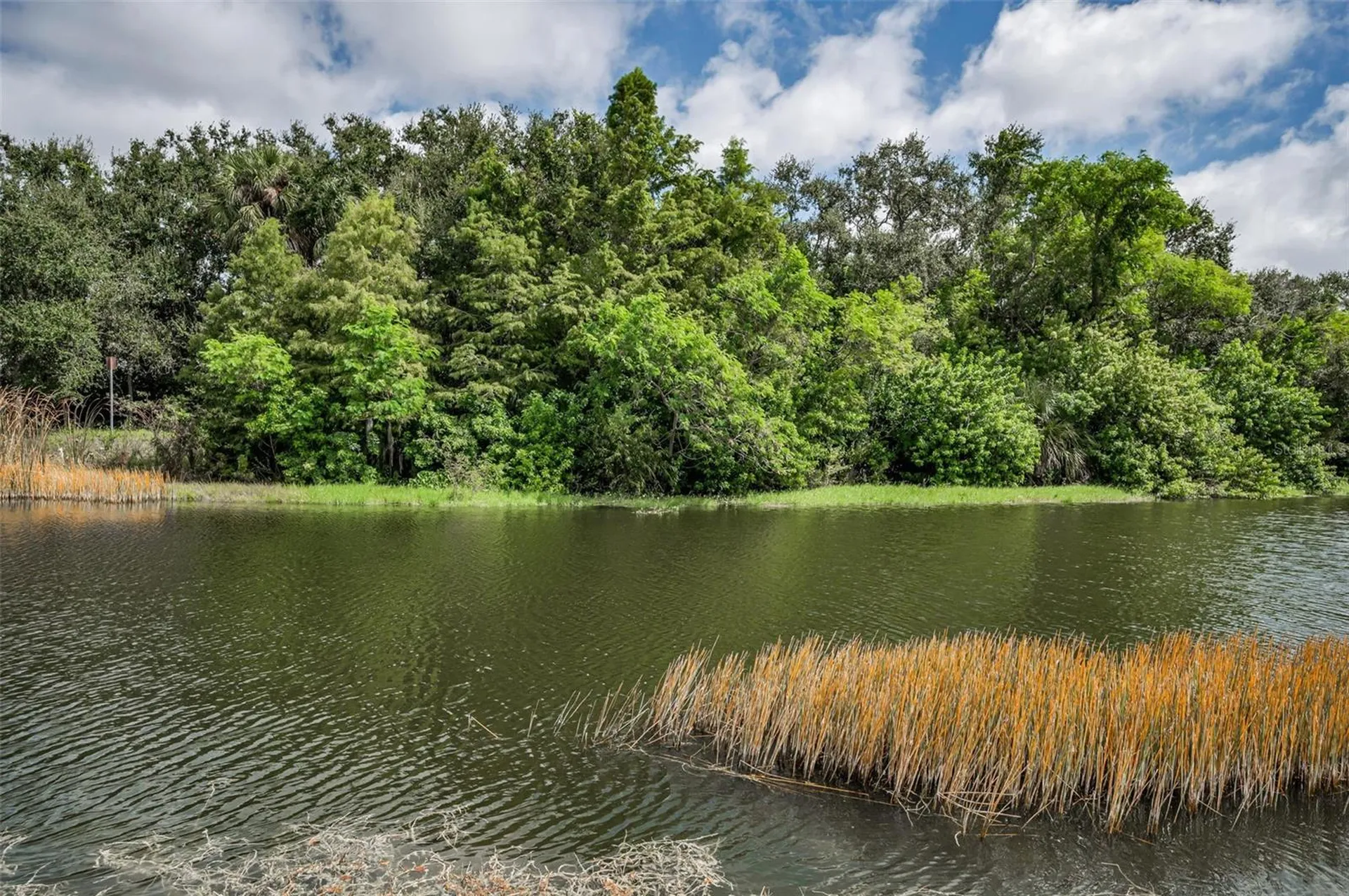 1400 Water View Drive W Largo FL 33771