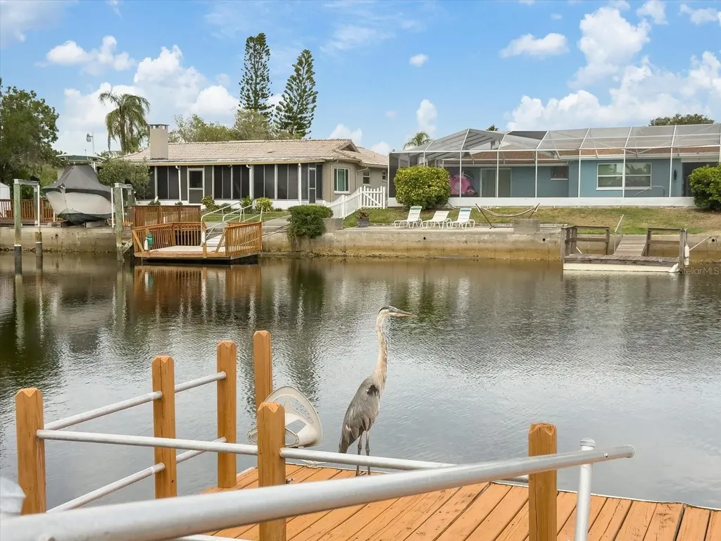 5008 Dory Drive New Port Richey FL 34652