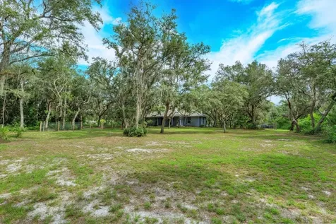 17249 Holly Court Umatilla FL 32784