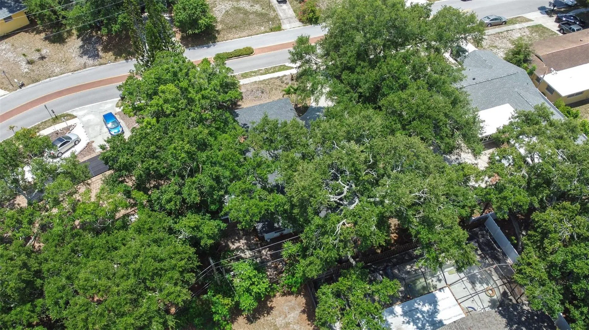 1554 Linwood Drive Clearwater FL 33755