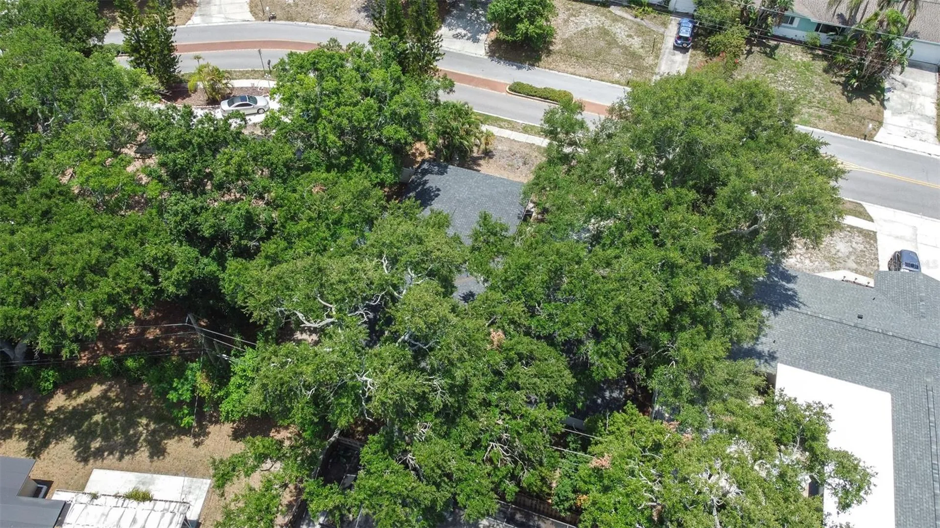 1554 Linwood Drive Clearwater FL 33755