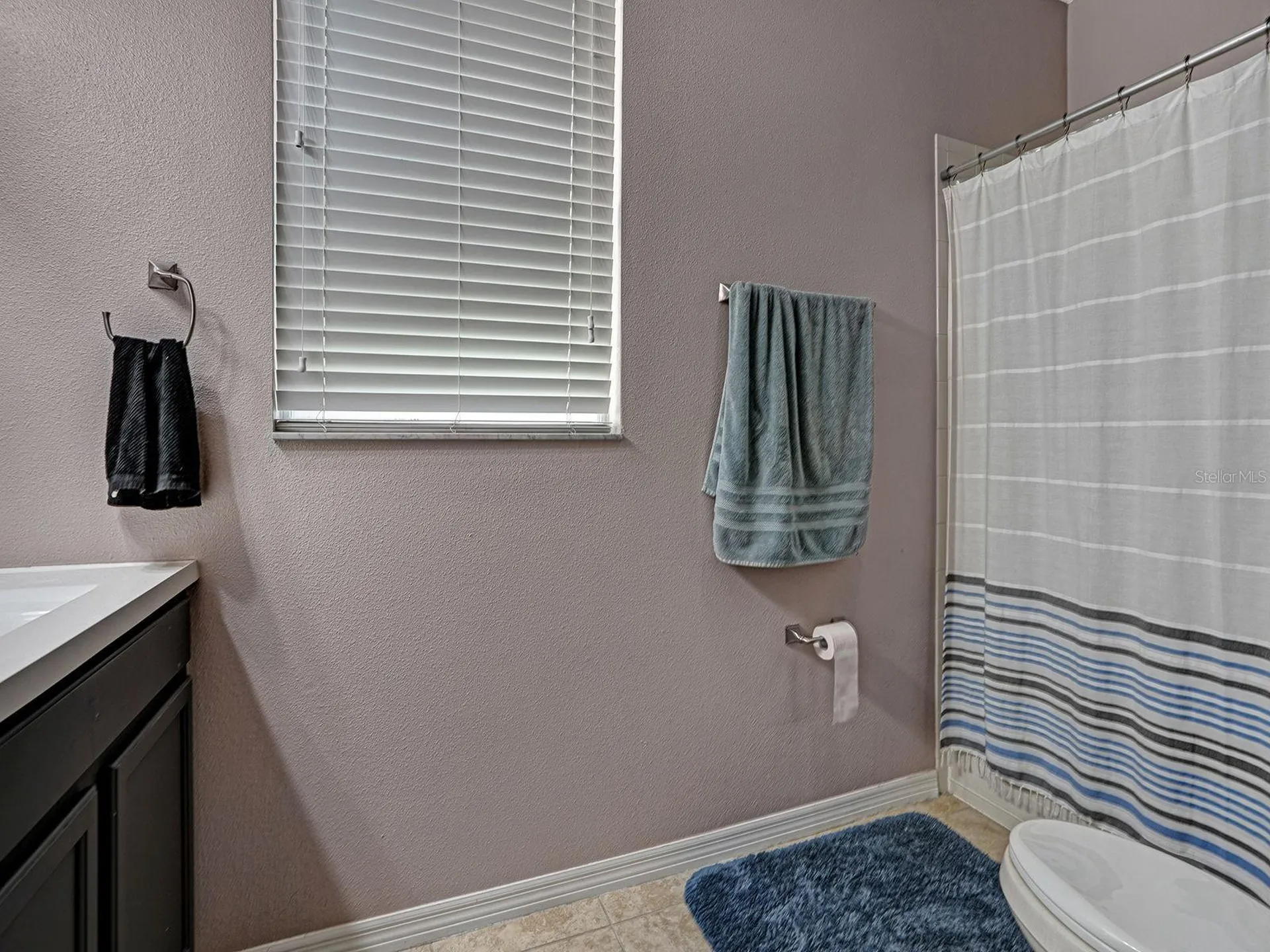 12302 Holmwood Greens Place Riverview FL 33579