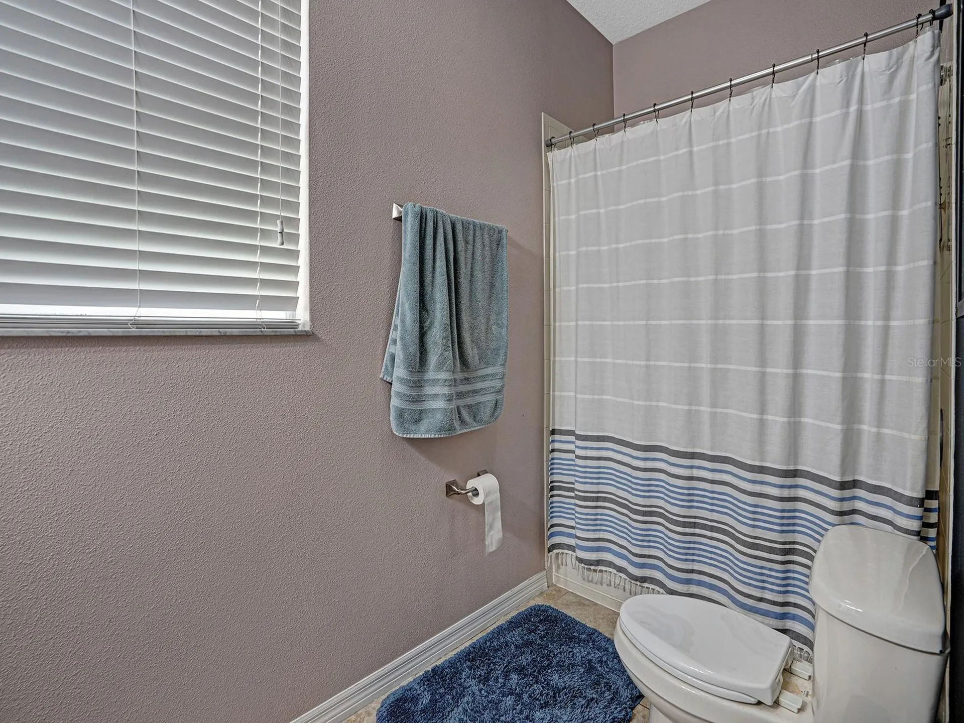12302 Holmwood Greens Place Riverview FL 33579