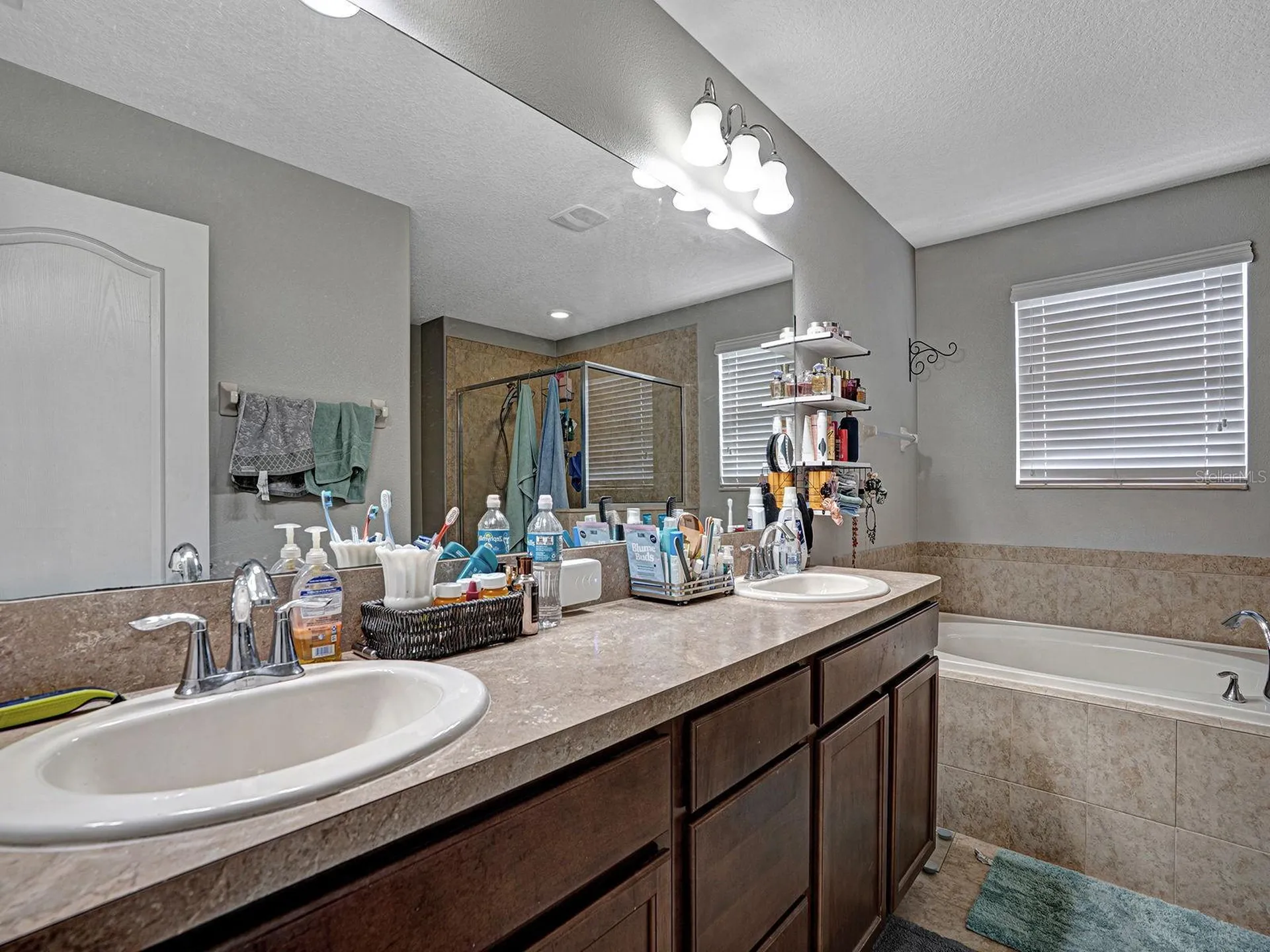 12302 Holmwood Greens Place Riverview FL 33579