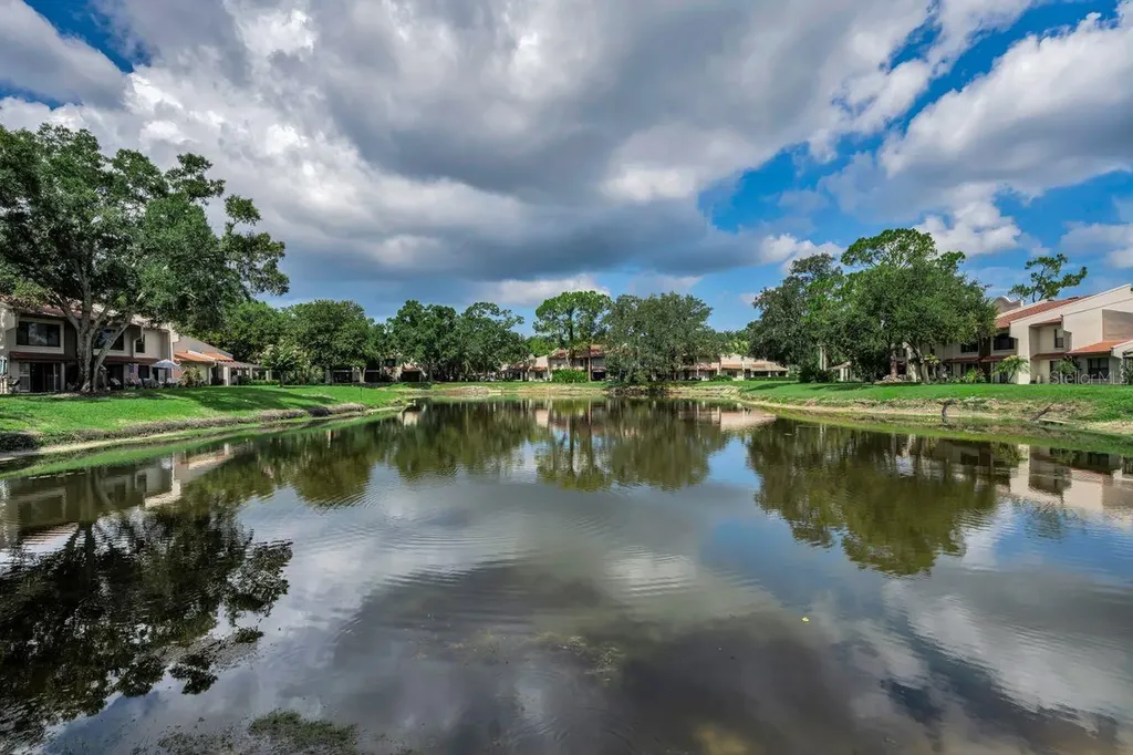 3505 Tarpon Woods Boulevard Palm Harbor FL 34685