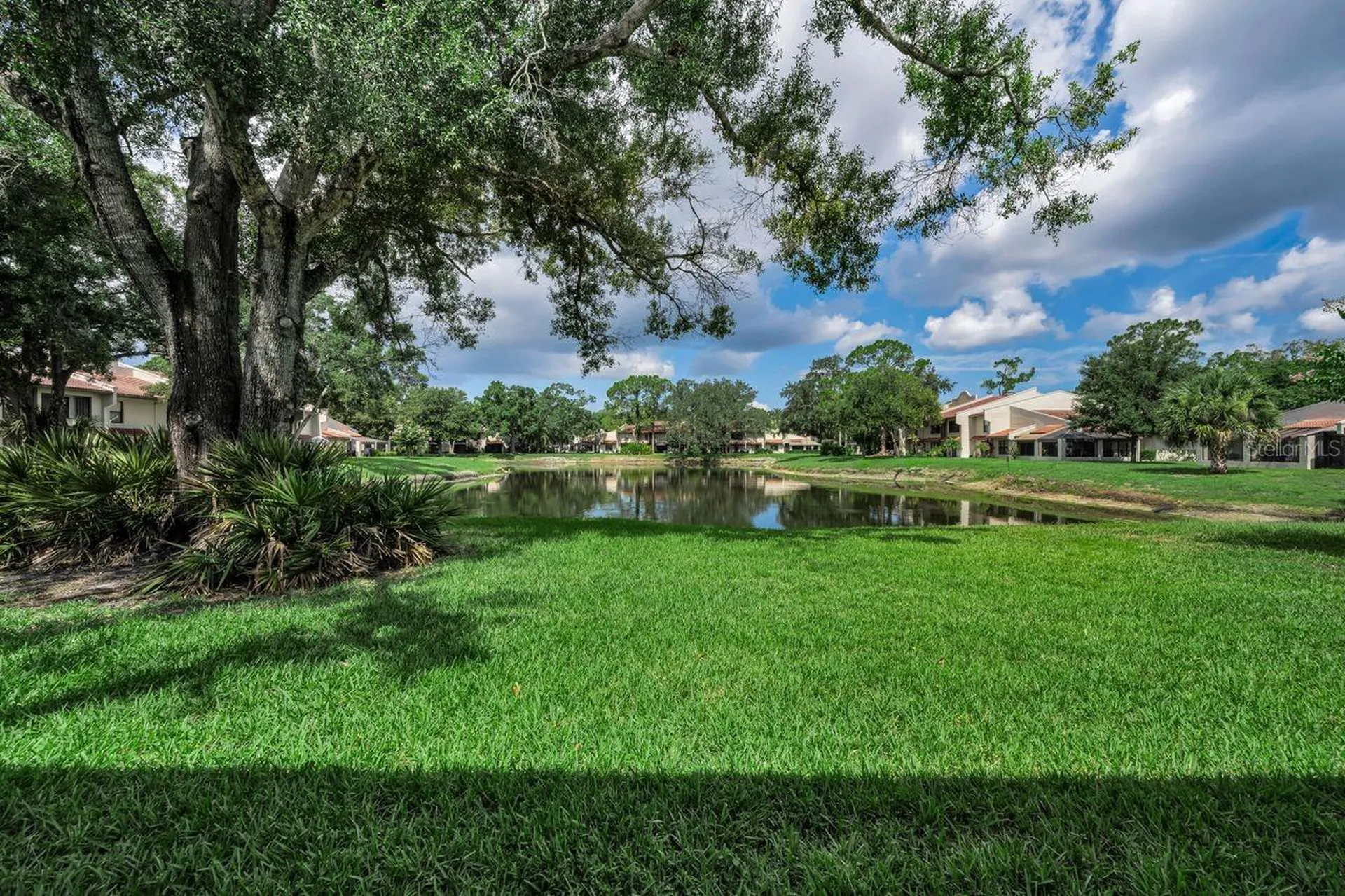 3505 Tarpon Woods Boulevard Palm Harbor FL 34685