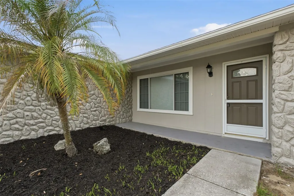 3822 Ravenna Drive Valrico FL 33594