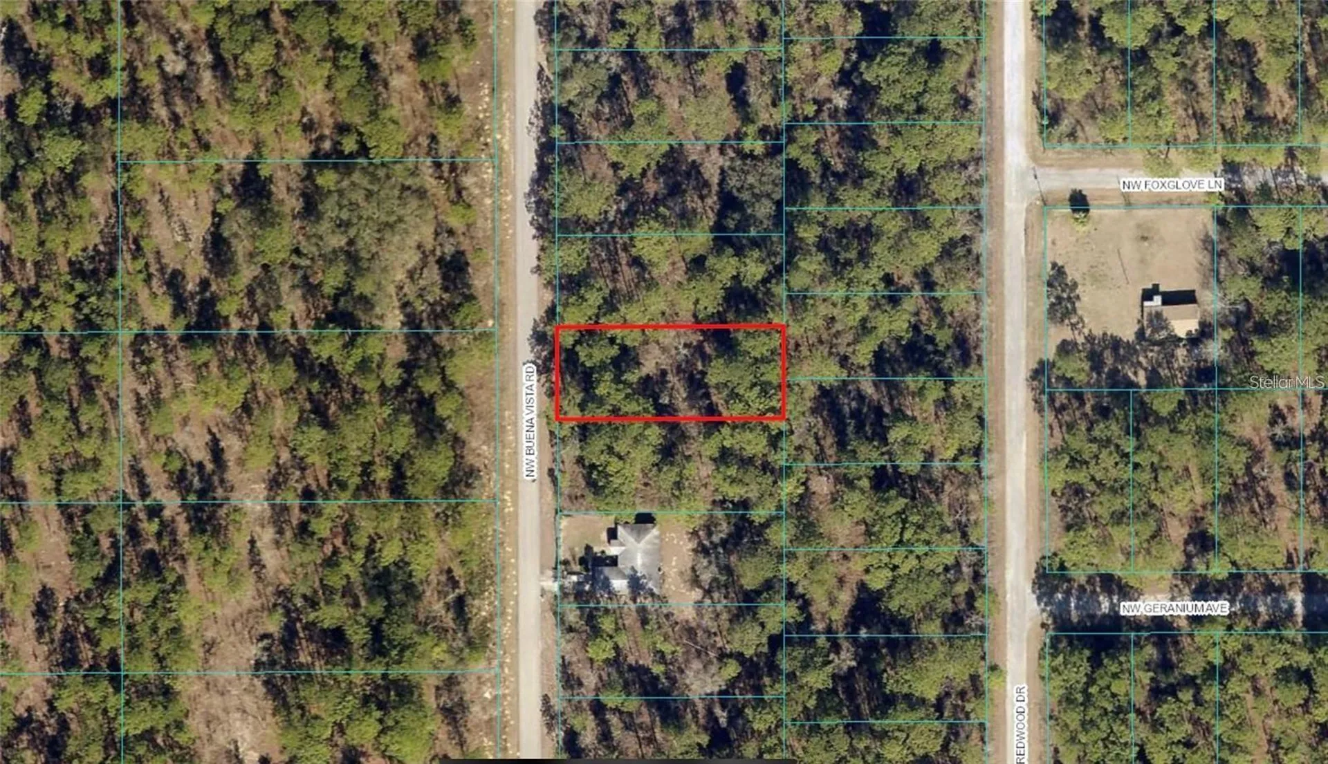 00 SW Buena Vista Road Dunnellon FL 34431