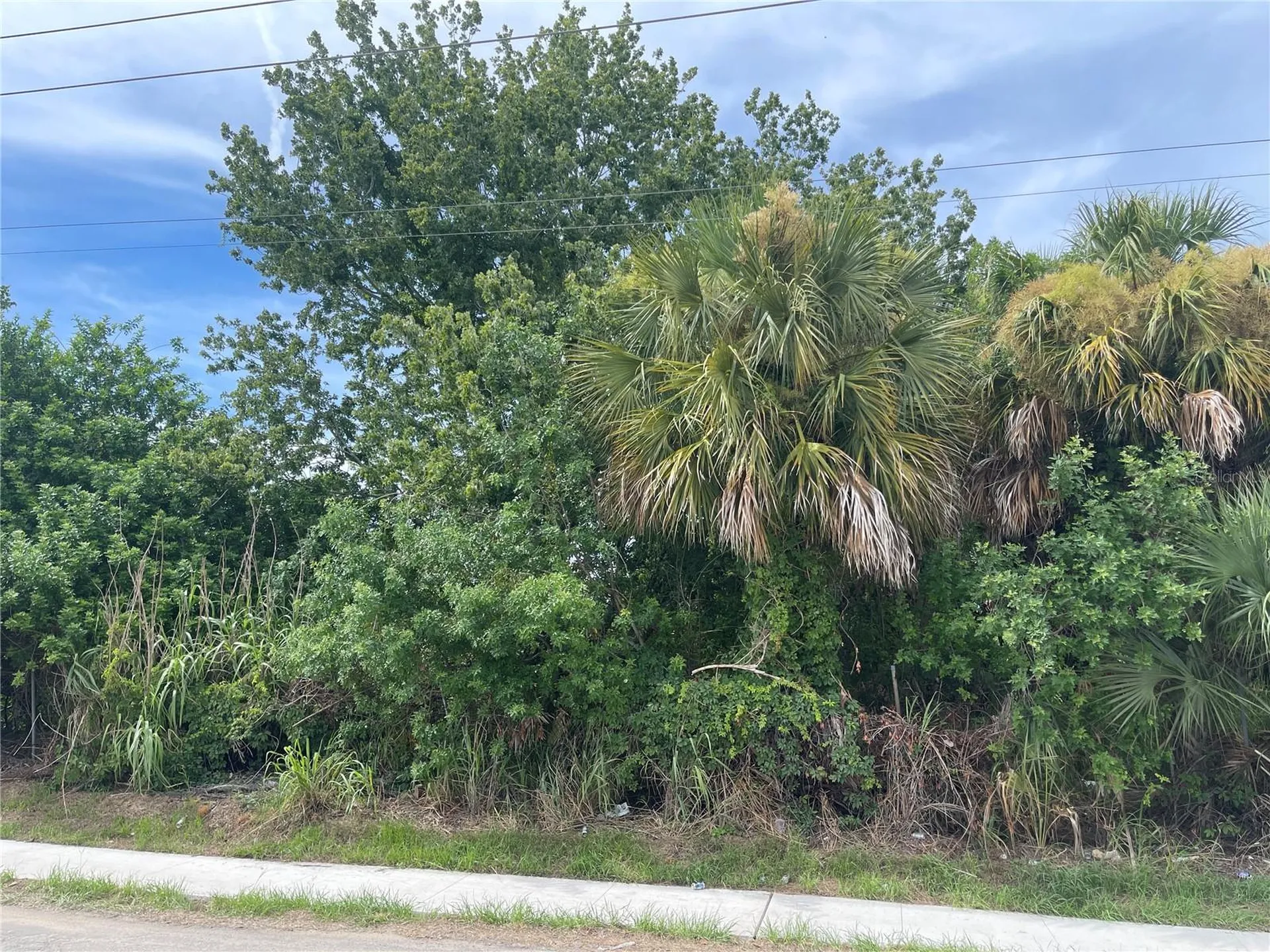 0 Scallop Port Richey FL 34668