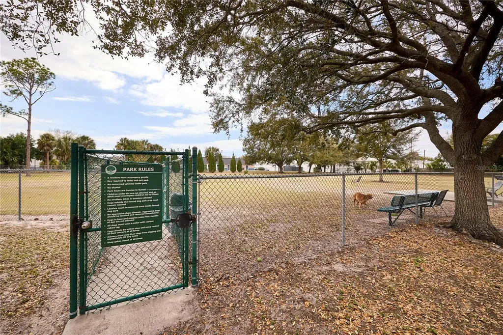 3312 Nakora Drive Tampa FL 33618