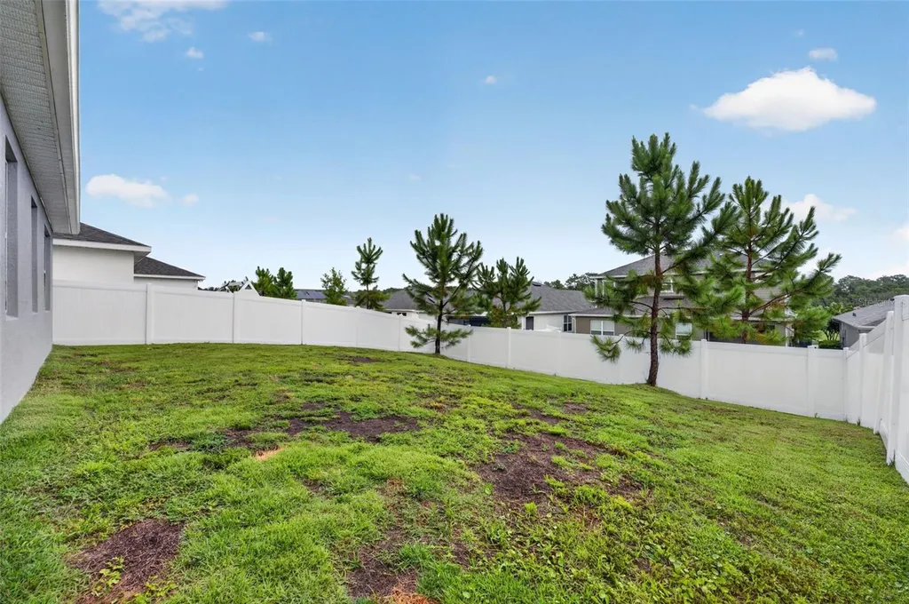 2340 Sirena Lane Mount Dora FL 32757