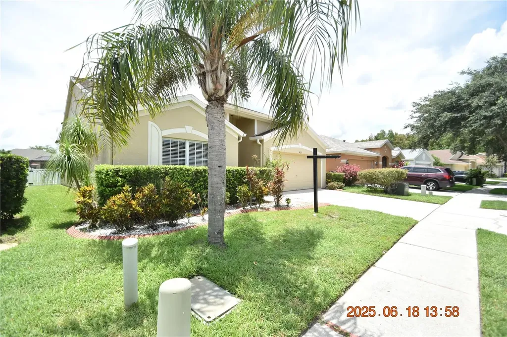 5627 War Admiral Drive Wesley Chapel FL 33544