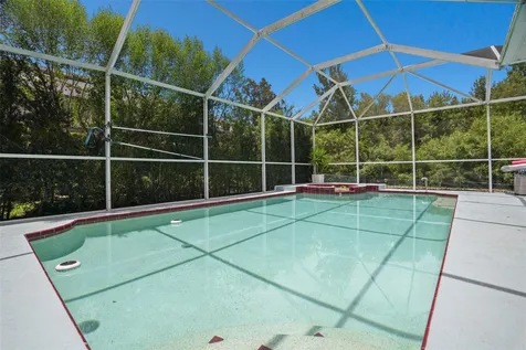 2117 Larkspur Court Trinity FL 34655