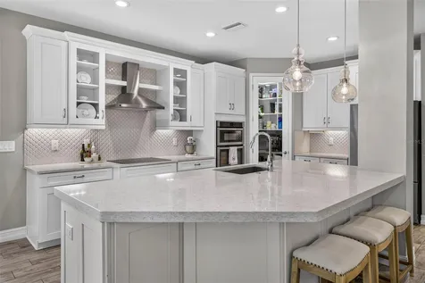 33187 Cypress Bend Drive Wesley Chapel FL 33545