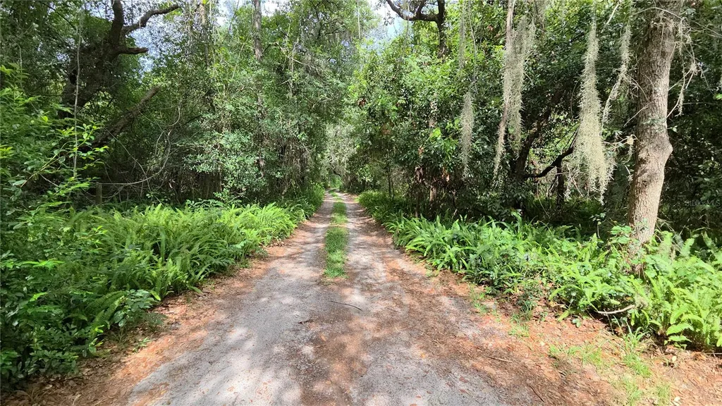 365 80 Foot Road Bartow FL 33830