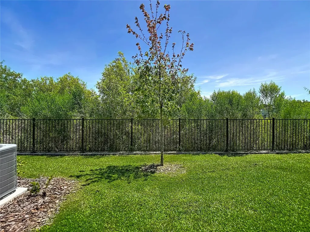 32067 Spiceberry Street San Antonio FL 33576