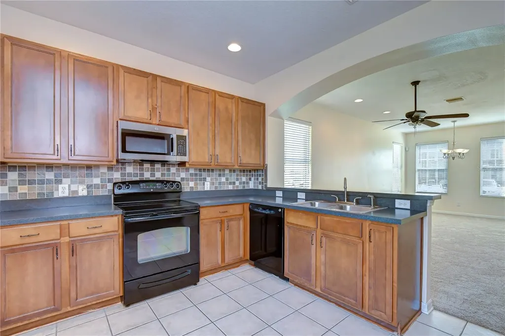 6919 Towering Spruce Drive Riverview FL 33578
