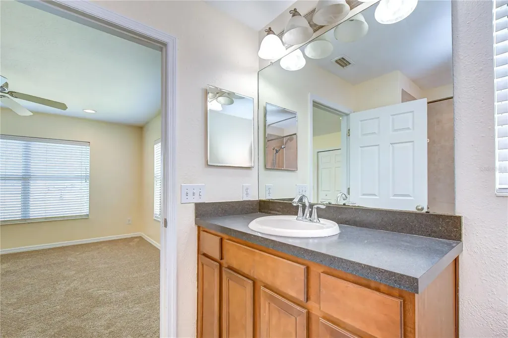 6919 Towering Spruce Drive Riverview FL 33578