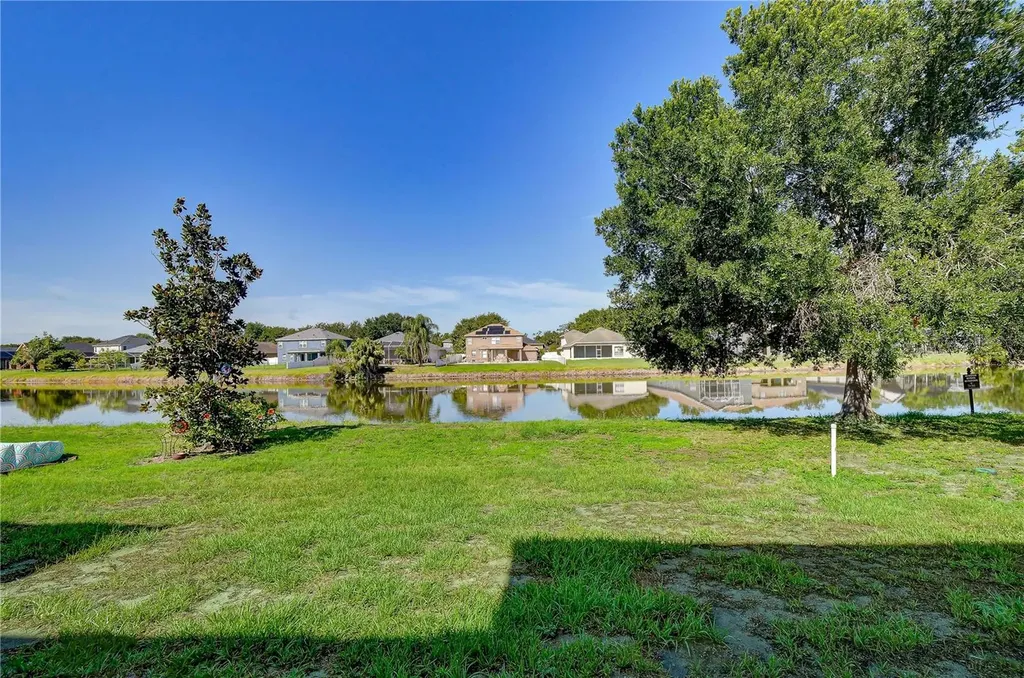 6919 Towering Spruce Drive Riverview FL 33578