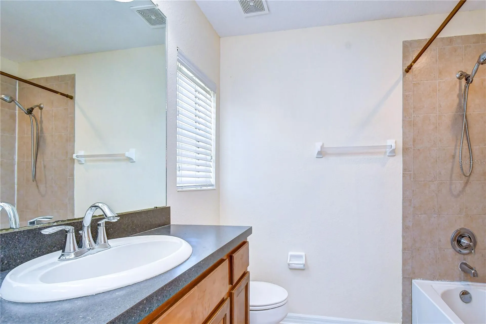 6919 Towering Spruce Drive Riverview FL 33578