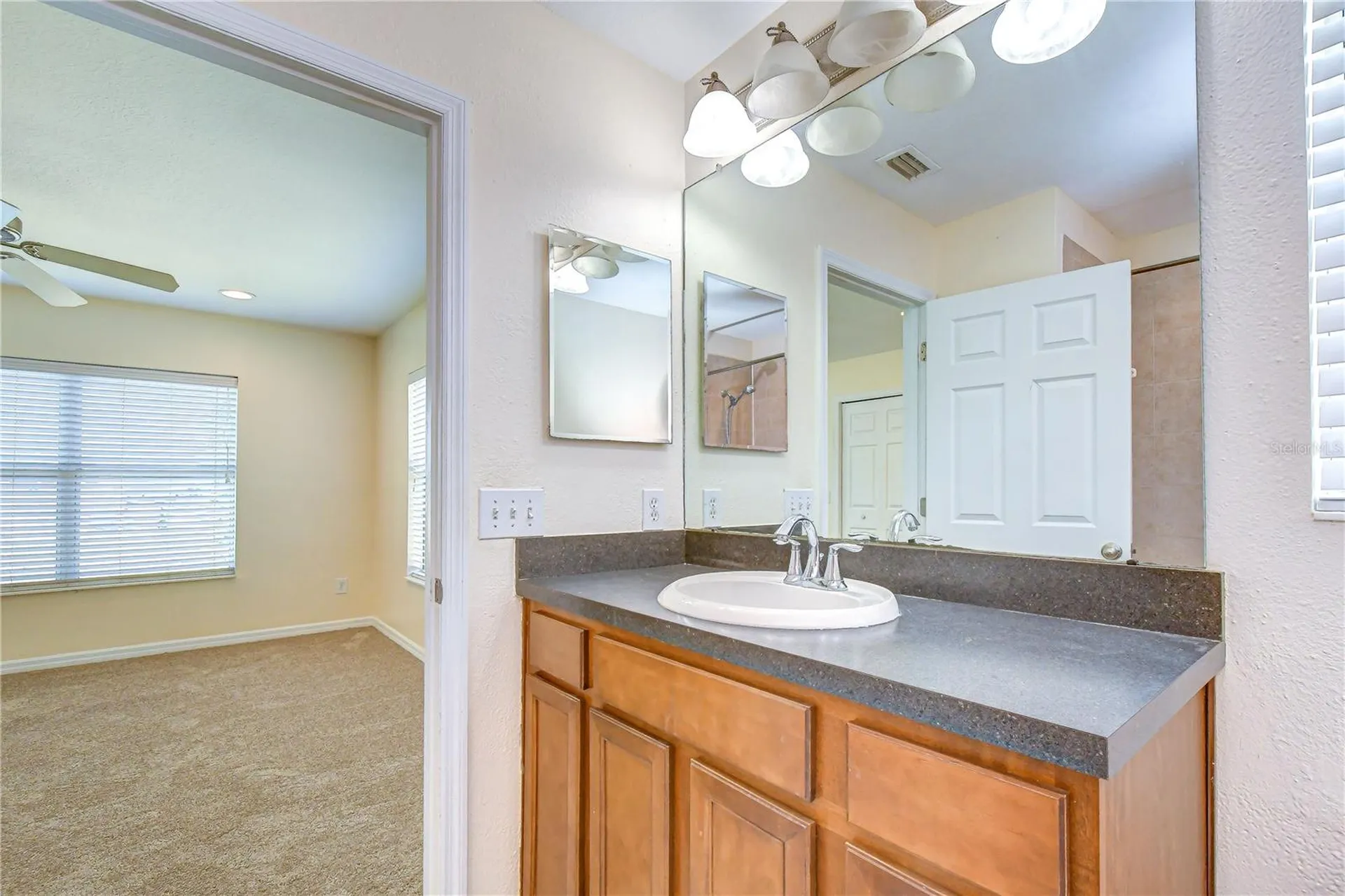 6919 Towering Spruce Drive Riverview FL 33578