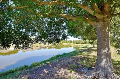 6919 Towering Spruce Drive Riverview FL 33578