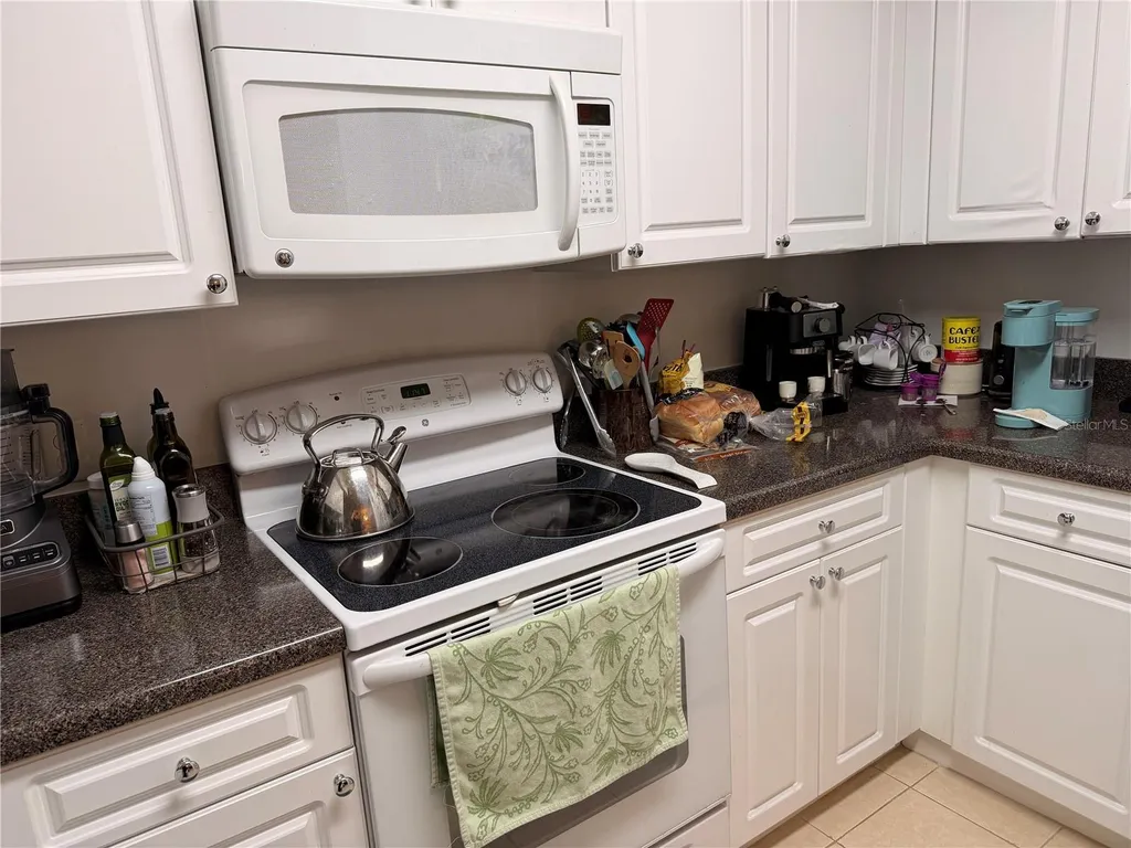 4516 Seagull Drive New Port Richey FL 34652