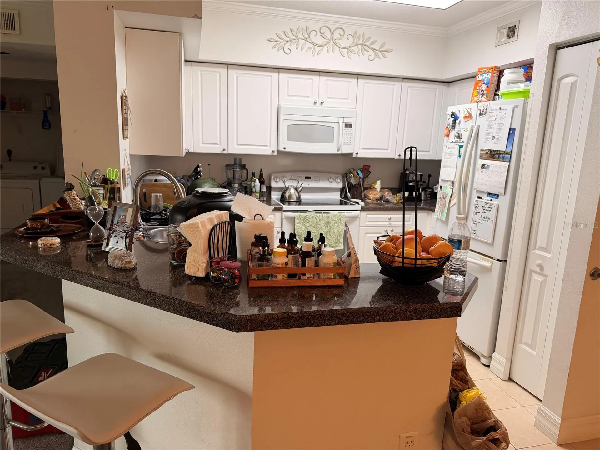 4516 Seagull Drive New Port Richey FL 34652