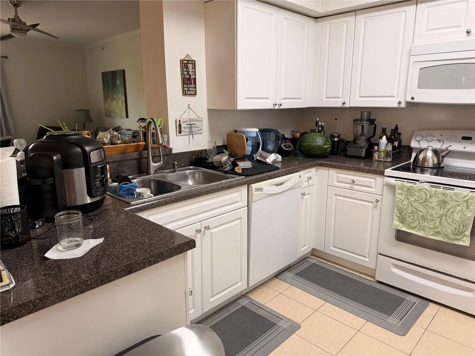 4516 Seagull Drive New Port Richey FL 34652