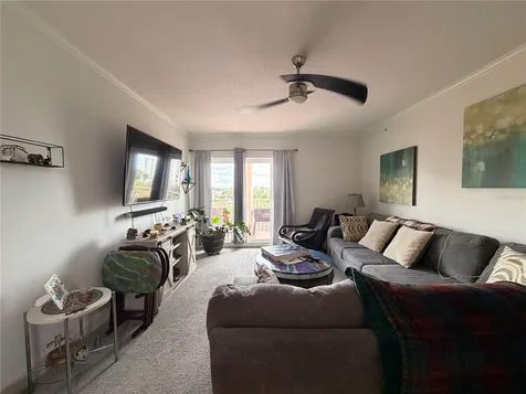 4516 Seagull Drive New Port Richey FL 34652