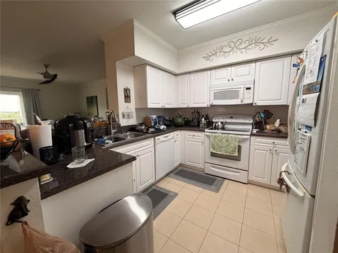 4516 Seagull Drive New Port Richey FL 34652