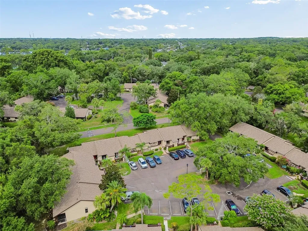 2903 Fig Court Palm Harbor FL 34684