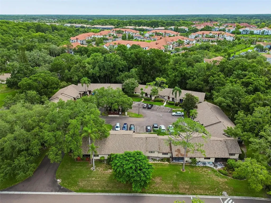 2903 Fig Court Palm Harbor FL 34684