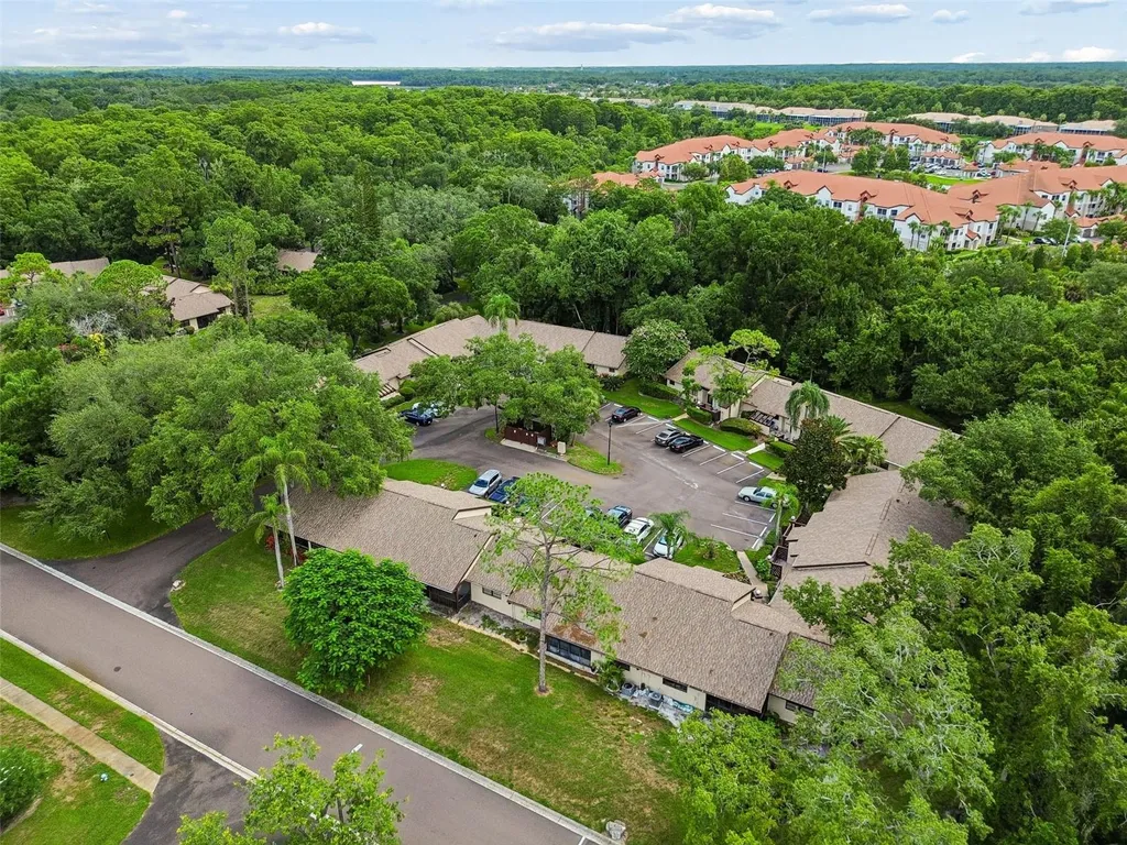 2903 Fig Court Palm Harbor FL 34684